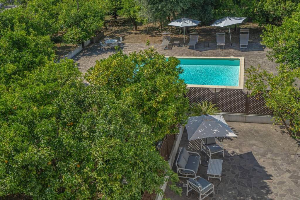 Casa Gege', For Up To 5 Guests, Shared Pool, Center Apartment Sorrento